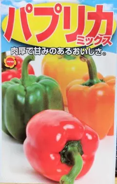 ヨット様 リクエスト 5点 まとめ商品