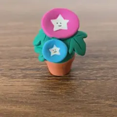 ☆コンコンブル　あさがおさん☆concombre 　夏　朝顔☆