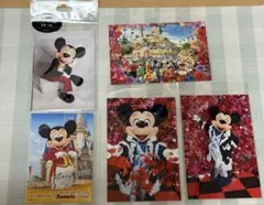ミッキー　実写　写真とポストカードセット