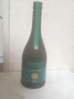 新政 2025 ビリジアン 日本酒 - メルカリ