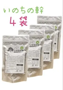 2025年最新】いのちの幹の人気アイテム - メルカリ