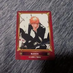 BLEACH ブリーチ 巻頭歌骨牌 25巻 60巻 黒崎一護 黒崎真咲 - メルカリ