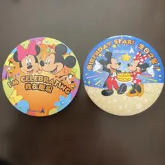 香港ディズニーランド 缶バッジ 2個セット