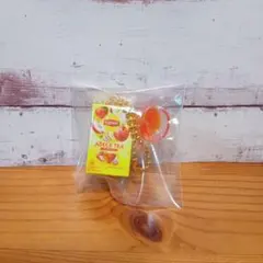 Lipton ミニチュアチャーム