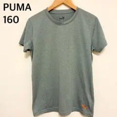 数回着用　PUMA キッズ Tシャツ 160cm グレーのサムネイル