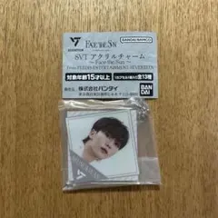 SEVENTEEN スングァン アクリルチャーム