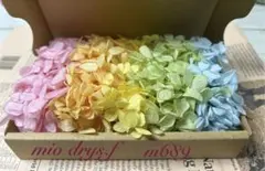 ⭐️今だけ¥400❗️⭐️プリザーブドフラワーアジサイ❤︎プリザーブドフラワー花材❤︎