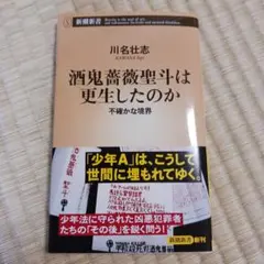 Item thumbnail for item fc8bad05-285c-4538-954f-8ab9f3da80e4