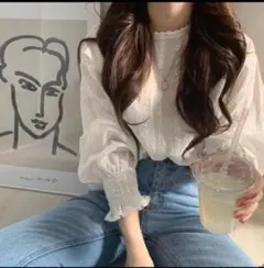 袖口シャーリング丸首シアー刺繍 ブラウス