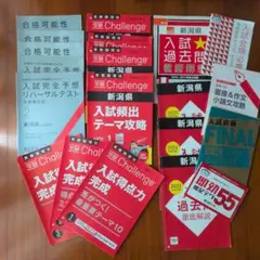 進研ゼミ中学講座 学習参考書・問題集 大量セット