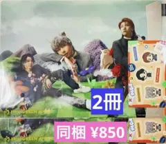 Mrs. GREEN APPLE 一番くじ クリアファイル×2冊