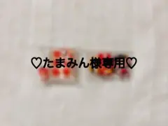 ♡たまみん様専用♡
