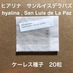 こうたろう様 リクエスト 3点 まとめ商品
