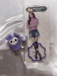 TWICE サナ サブリー