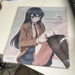 Item thumbnail for item d0a9f8aa-3635-407e-ad49-ff460bd001c7