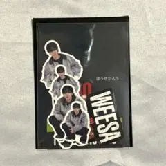 HiGH&LOW フレークシール PSYCHIC FEVER WEESA ②