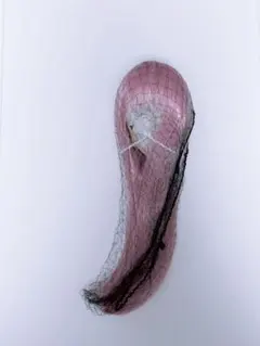 Item thumbnail for item dbd34a41-070b-45a3-b33b-40200cc80a44