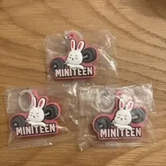 MINITEEN ぷっくりめじるしアクセサリー　エスクプス　ガチャ　チェチェリー