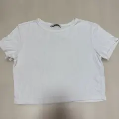 ZARA ホワイト クロップドTシャツ Lサイズ