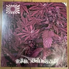 舐達麻 Northernblue 1.0.4 LP レコード