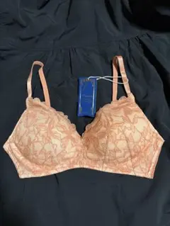 【トリンプ】ブラジャー D70