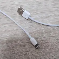 USB-A to Lightningケーブル 約1メートル ホワイト