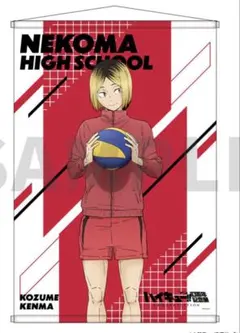 孤爪 研磨 10周年記念 描き下ろし タペストリー ハイキュー!!