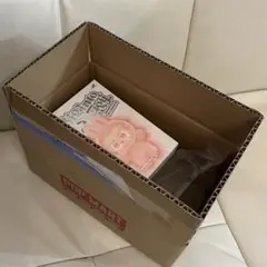 POP MART 正規品　ラブブ　ぬいぐるみペンダント未開封