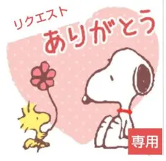 ☆チャムが一番様専用☆