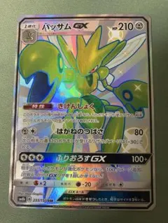 ハッサムGX SSR 美品 SM8b GXウルトラシャイニー 233/150 - メルカリ