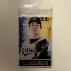 本田仁海　コロチャレ