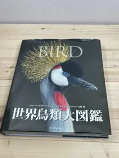 2025年最新】鳥類大図鑑の人気アイテム - メルカリ