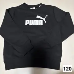 Item thumbnail for item a2727e51-81ff-467a-b096-73eff85645ce