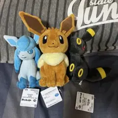 ポケモンぬいぐるみ イーブイ グレイシア ブラッキー