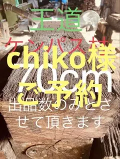 2025年最新】枕木 防腐の人気アイテム - メルカリ