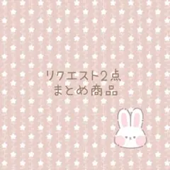 キウイシスターズ様 リクエスト 2点 まとめ商品