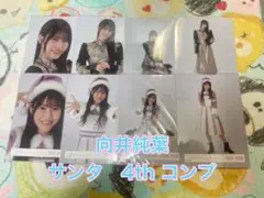 櫻坂46 向井純葉　2コンプ