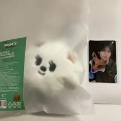 txt プルバトゥ　バムグッ　コインポーチ　ボムギュ　ラキドロトレカ