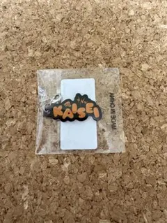 武知海青 大暴年会 ネームアクリルチャーム