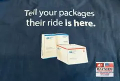 Tシャツ 古着 90s BAYSIDE ベイサイド 極美品 USPS 企業 XL