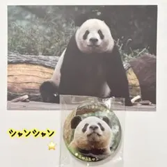 2026年最新】シャンシャン 缶バッジの人気アイテム - メルカリ