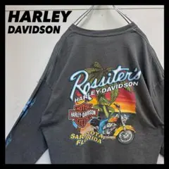 BIGサイズ2XL USA製 HARLEY DAVIDSON ロンTのサムネイル