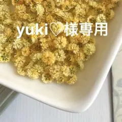 yuki♡様専用　かすみ草　イエローオレンジ系2個ラベンダー2個　白1個