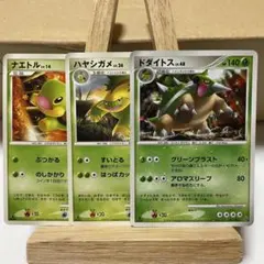 ナエトル ハヤシガメ ドダイトス