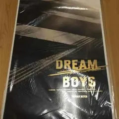 〔未開封〕DREAM BOYS パンフレット