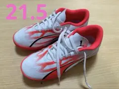 PUMA トレーニングシューズ ホワイト/レッド