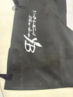 Item thumbnail for item d62df381-783c-4c2a-a323-7c09432f6f88