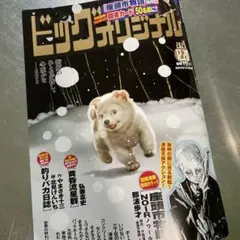 ビッグコミックオリジナル No.24