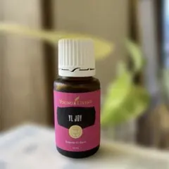 2026年最新】ワイエルジョイの人気アイテム - メルカリ