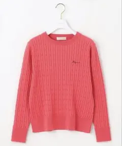 【新品】ANY SIS 【貴島明日香さんコラボ】ケーブル ニャット M